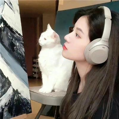 山有木兮木有心